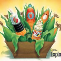 A-Maize-ing Grain