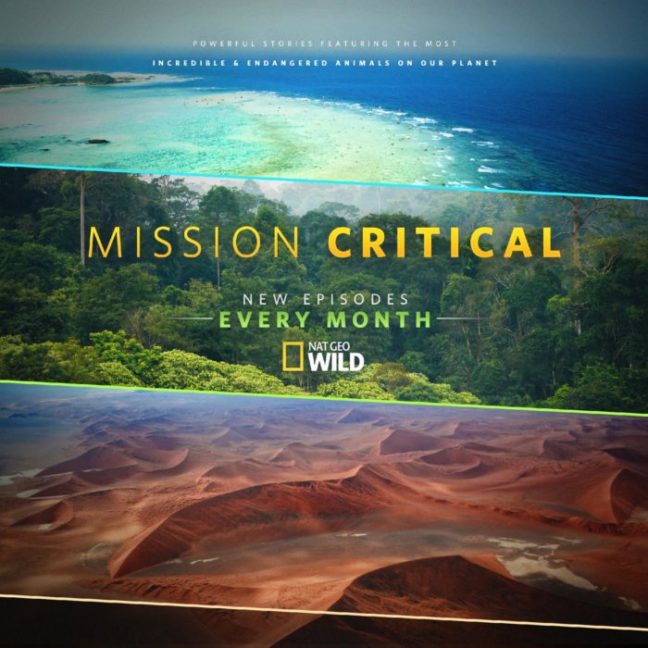 National Geographic, Kahoot! collection