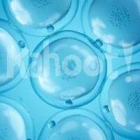 Biology: Cell Features