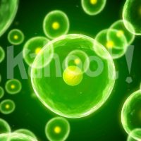 Biology: Cell Transport
