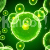 Biology: Cell Transport
