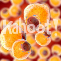 Biology: Macromolecules