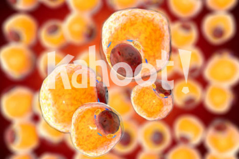 Biology: Macromolecules