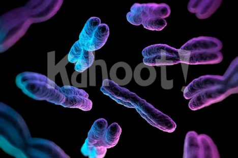 Biology: Meiosis