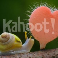 Biology kahoot. Image credit: Pixabay