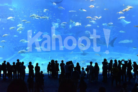 ELA cover. Image credit: https://pixabay.com/en/churaumi-aquarium-aquarium-2407812/