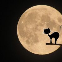Halloween kahoot. Credit image: Pixabay