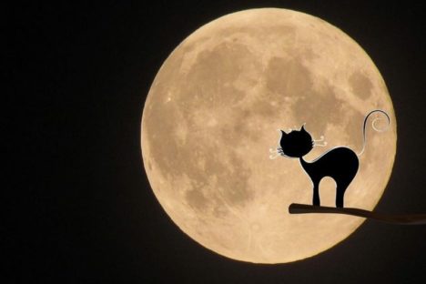 Halloween kahoot. Credit image: Pixabay
