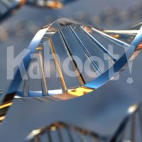 Function of DNA. Image credit: Getty Images