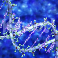 DNA Replication. Image credit: Getty Images