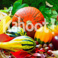 Thanksgiving. Image . credit: Pixabay