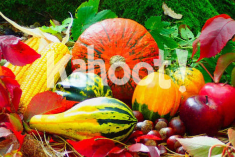 Thanksgiving. Image . credit: Pixabay
