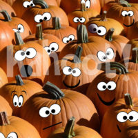 Thanksgiving. Image credit: Pixabay