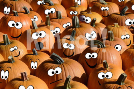 Thanksgiving. Image credit: Pixabay