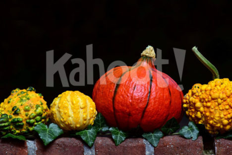 Thanksgiving. Image credit: Pixabay