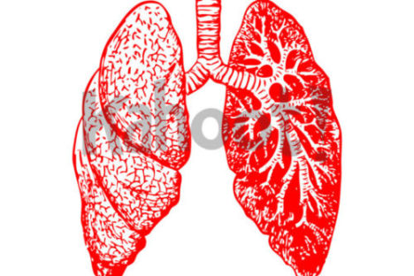 Science collection. Image credits: https://pixabay.com/en/lungs-anatomy-breathing-bronchitis-297492/ CC0