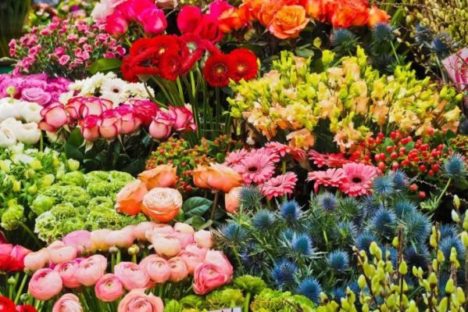 Image credits: https://pixabay.com/en/flowers-spring-season-nature-3231099/ CC0