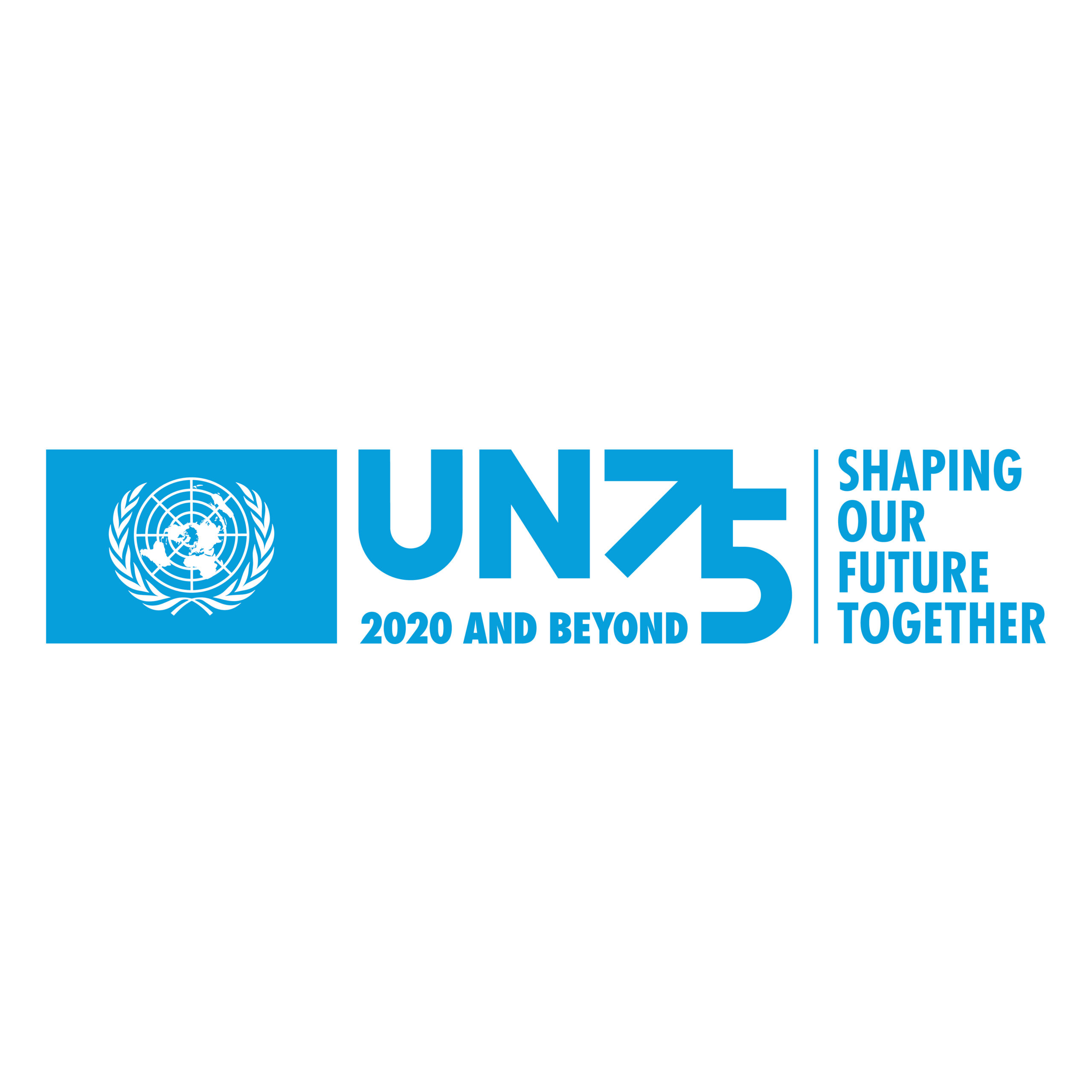 UN75 Report: The Future We Want, The UN We Need
