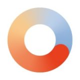 Silicon Canals logo