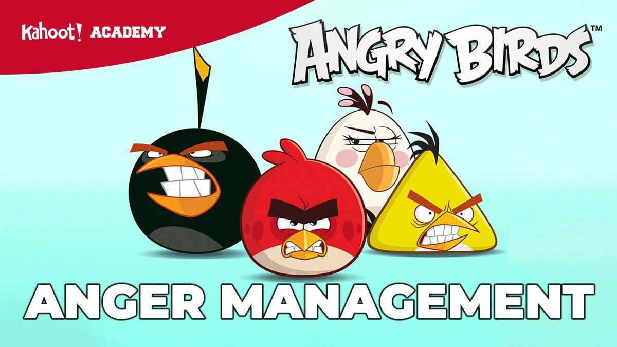 angry birds anger management