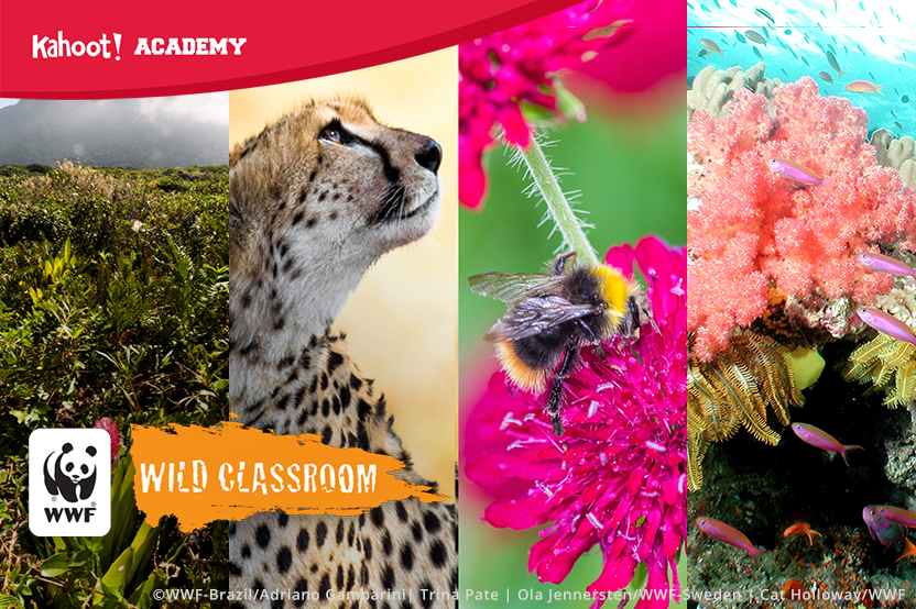Discover the wonders of nature with World Wildlife Fund on Kahoot! Academy