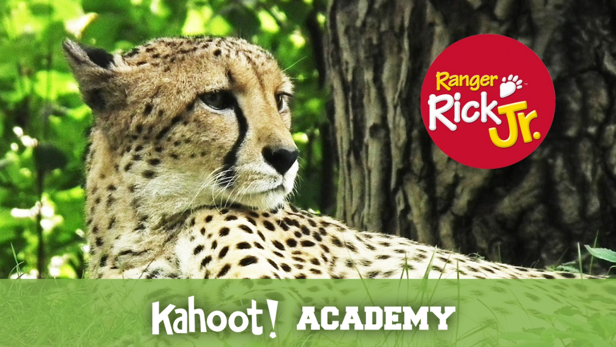 Ranger Rick | Discover wild learning fun on Kahoot! Academy