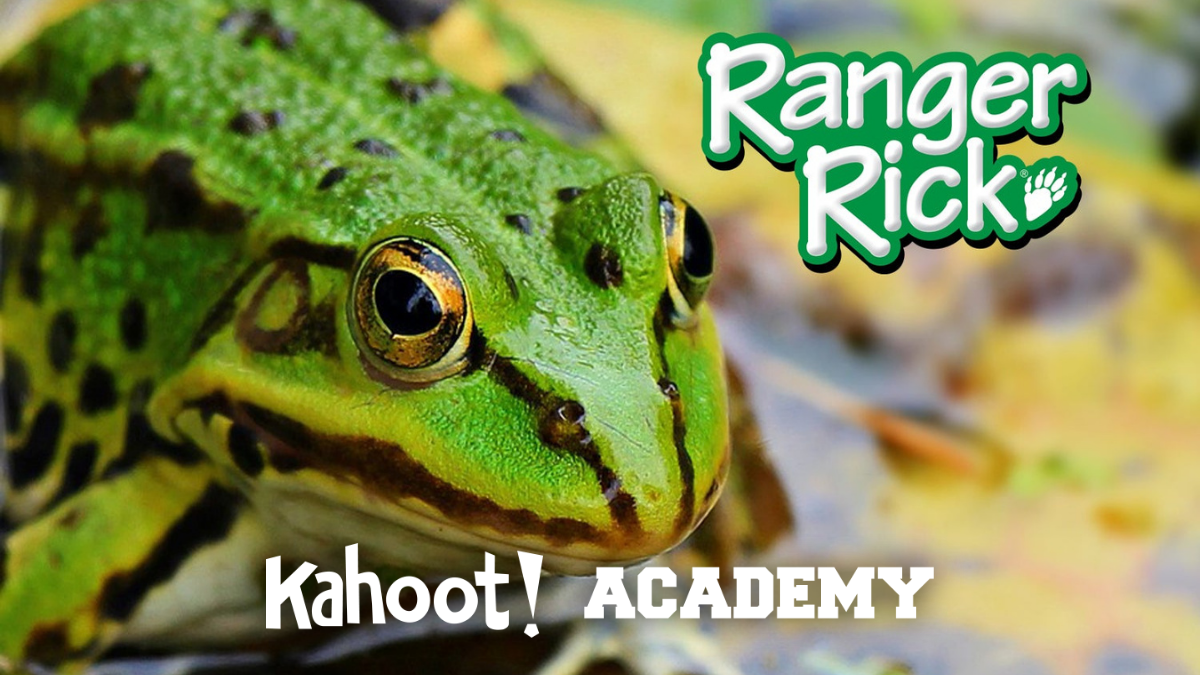 Ranger Rick | Discover wild learning fun on Kahoot! Academy