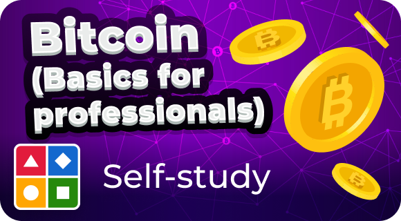 Bitcoin (Basics for professionals) - self study