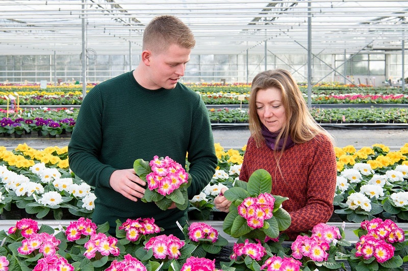 A man and woman in Schoneveld Breeding plant nursery 