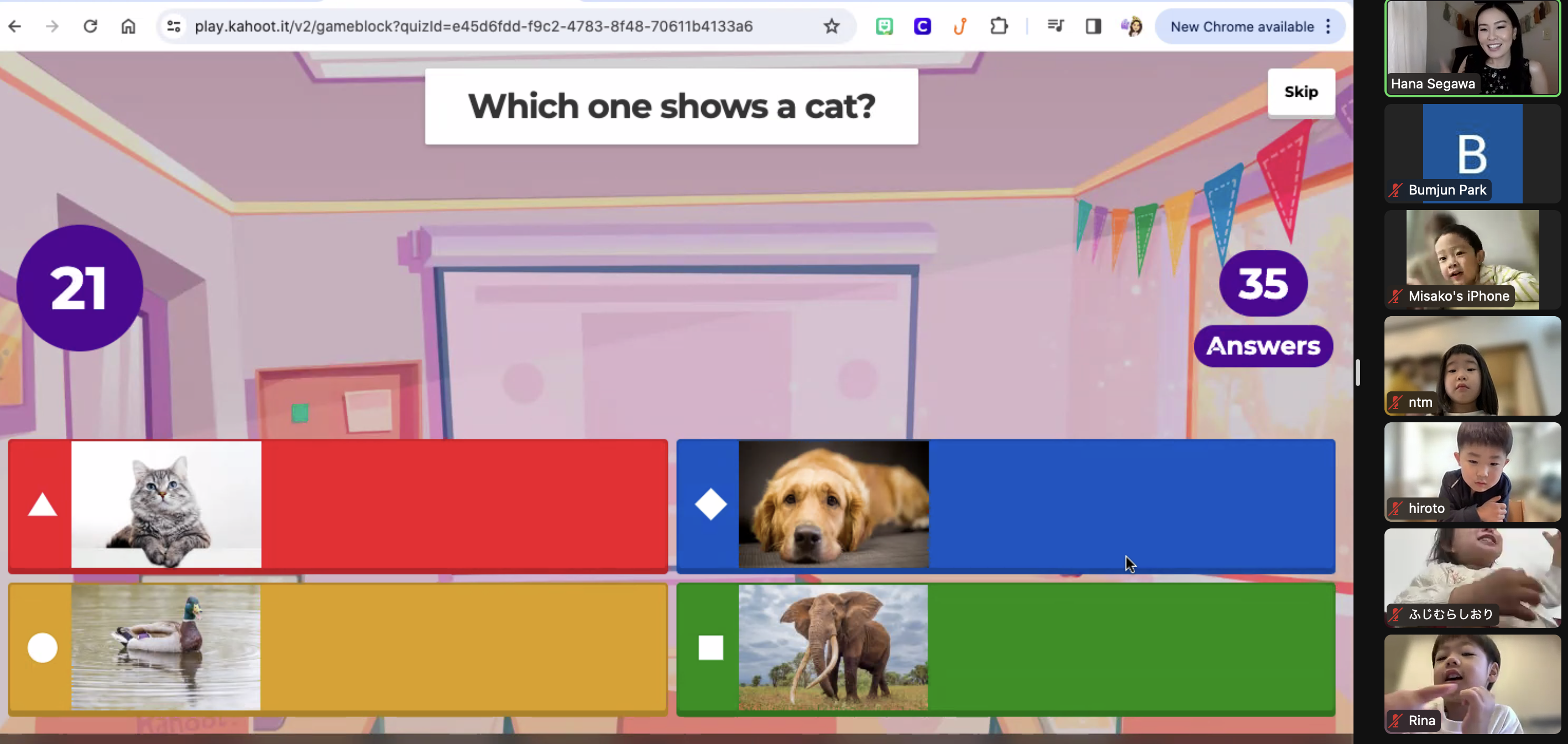 A classroom screenshot showcasing a cat and dog lounging together, adding a fun and friendly vibe to the learning space.