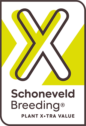 Schoneveld Breeding logo