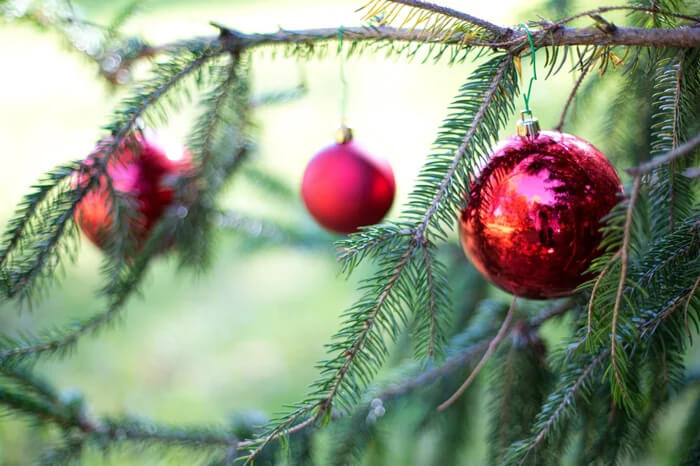 Close-up of a pine tree branch decorated with three shiny, reflective red Christmas ornaments hanging outside.