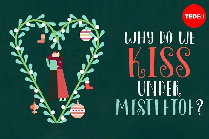 TED-Ed video still asking the question, 