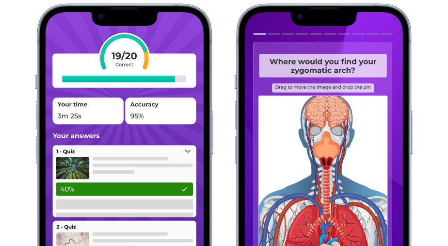 Quizzes cover advanced topics such as identifying early indicators of hypovolemic shock and locating anatomical structures like the 