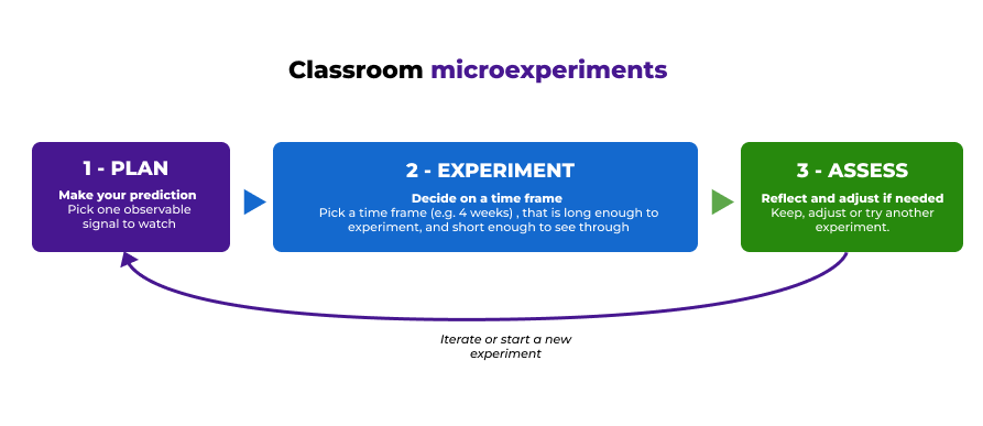 A chart displaying the steps of a classroom microexperiment
